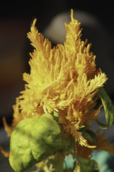 Similar image 8690111