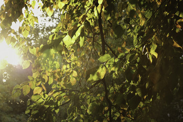 Similar image 8690117