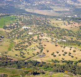 Similar image 8690392