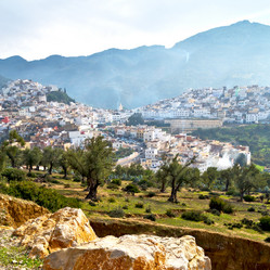 Similar image 8690399