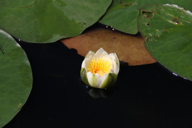 Similar image 8692635