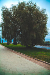 Similar image 8693766