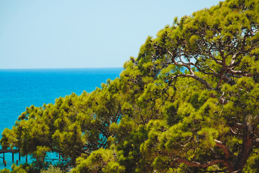 Similar image 8693850