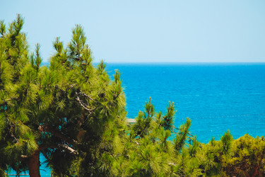 Similar image 8693852