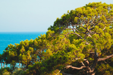 Similar image 8693854