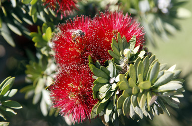 Similar image 8693862