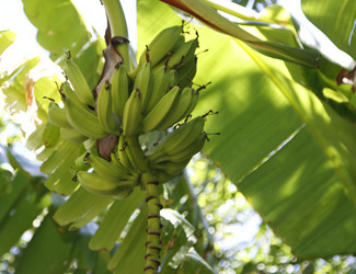 Similar image 8693869