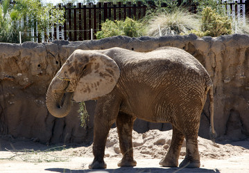 Similar image 8693872