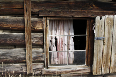 Similar image 8693884