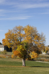 Similar image 8693954