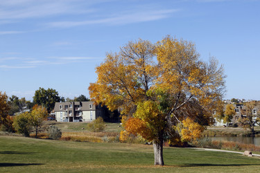 Similar image 8693956