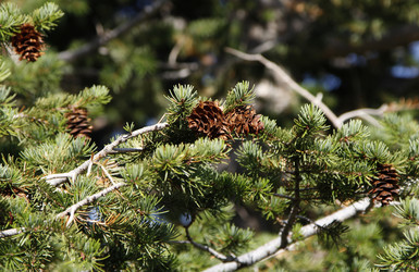 Similar image 8693961