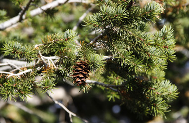 Similar image 8693962