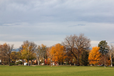 Similar image 8694084