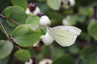 Similar image 8694451