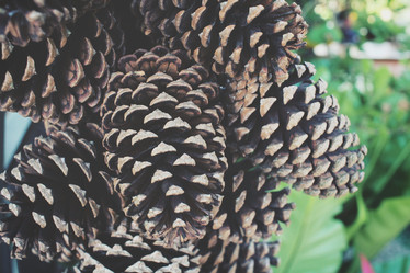 Similar image 8694709