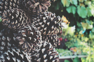 Similar image 8694713