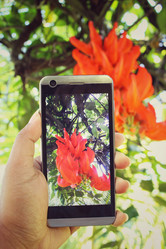 Similar image 8694730