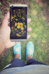 Similar image 8694736