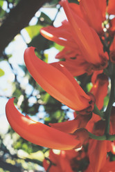 Similar image 8694738