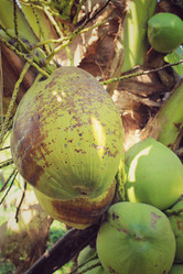 Similar image 8694787