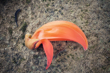 Similar image 8694792