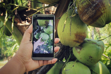 Similar image 8694796