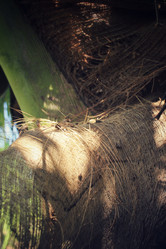 Similar image 8694798