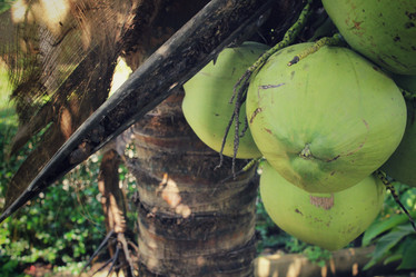 Similar image 8694800