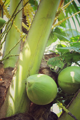 Similar image 8694802