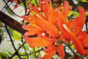 Similar image 8694804