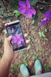 Similar image 8694806