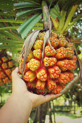 Similar image 8694819