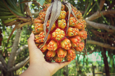 Similar image 8694820