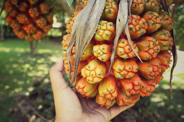 Similar image 8694822