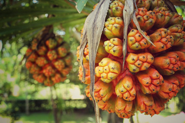 Similar image 8694875