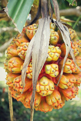 Similar image 8694877