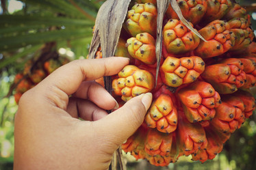 Similar image 8694879