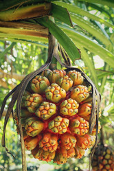 Similar image 8694885