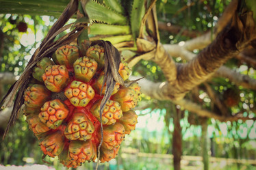 Similar image 8694887