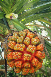 Similar image 8694889