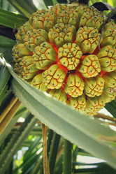 Similar image 8694891