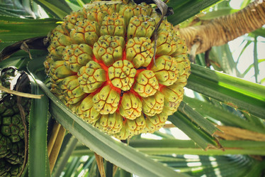 Similar image 8694893