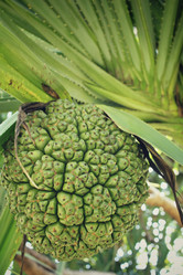 Similar image 8694895