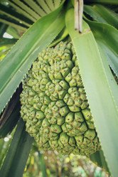 Similar image 8694897