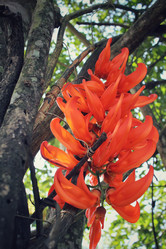 Similar image 8694899