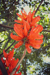 Similar image 8694903