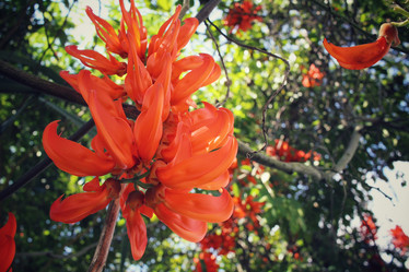 Similar image 8694906