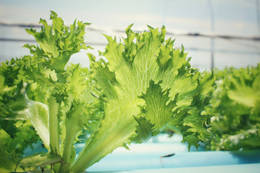 Similar image 8694911