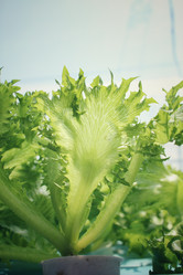 Similar image 8694913